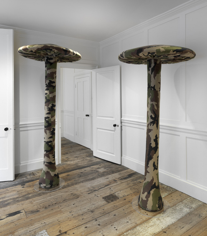 Raven Row - Cosima von Bonin: Upstairs Downstairs